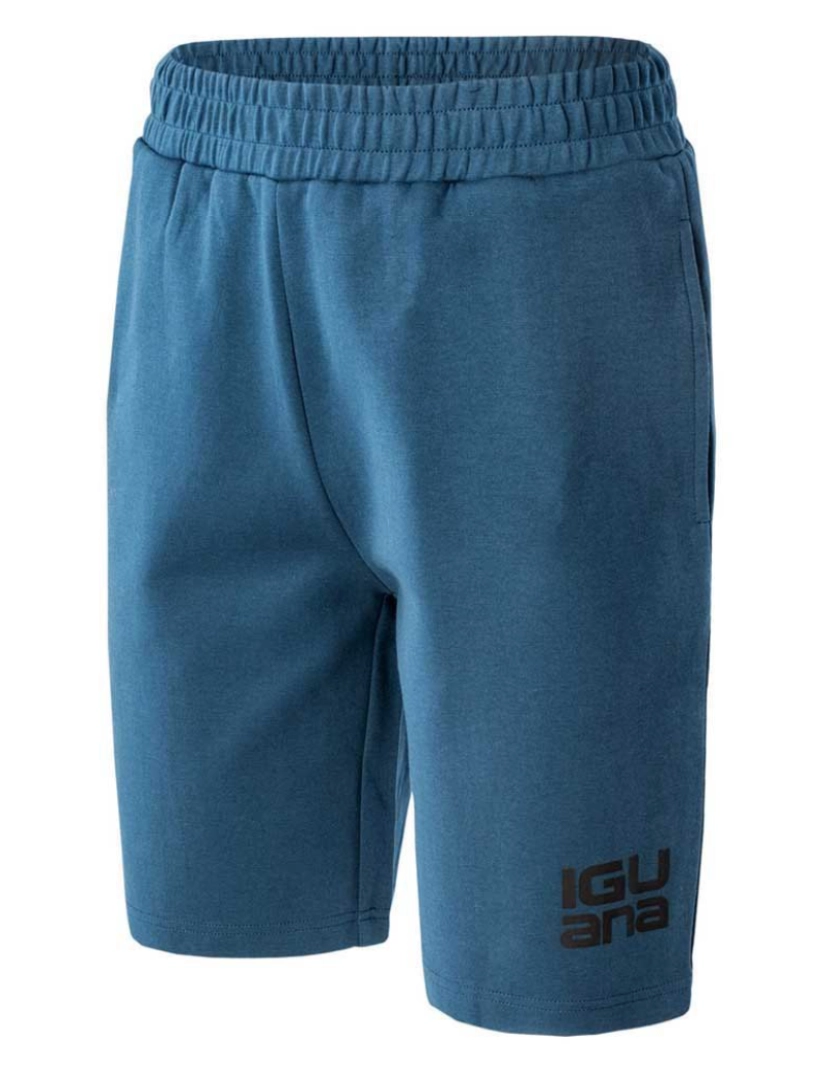 imagem de Iguana Mens Honan Shorts5