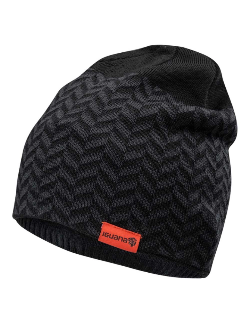 imagem de Iguana Mens Levan Winter Hat1