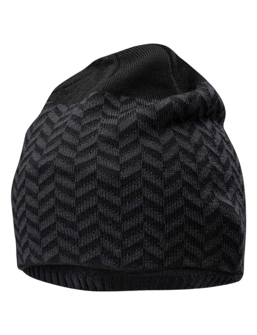 imagem de Iguana Mens Levan Winter Hat3