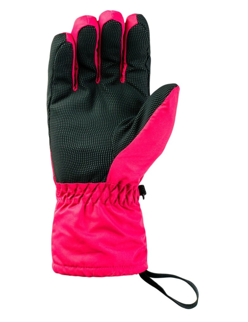 imagem de Hi-Tec Womens/Ladies Galena Contrast Ski Luvas2