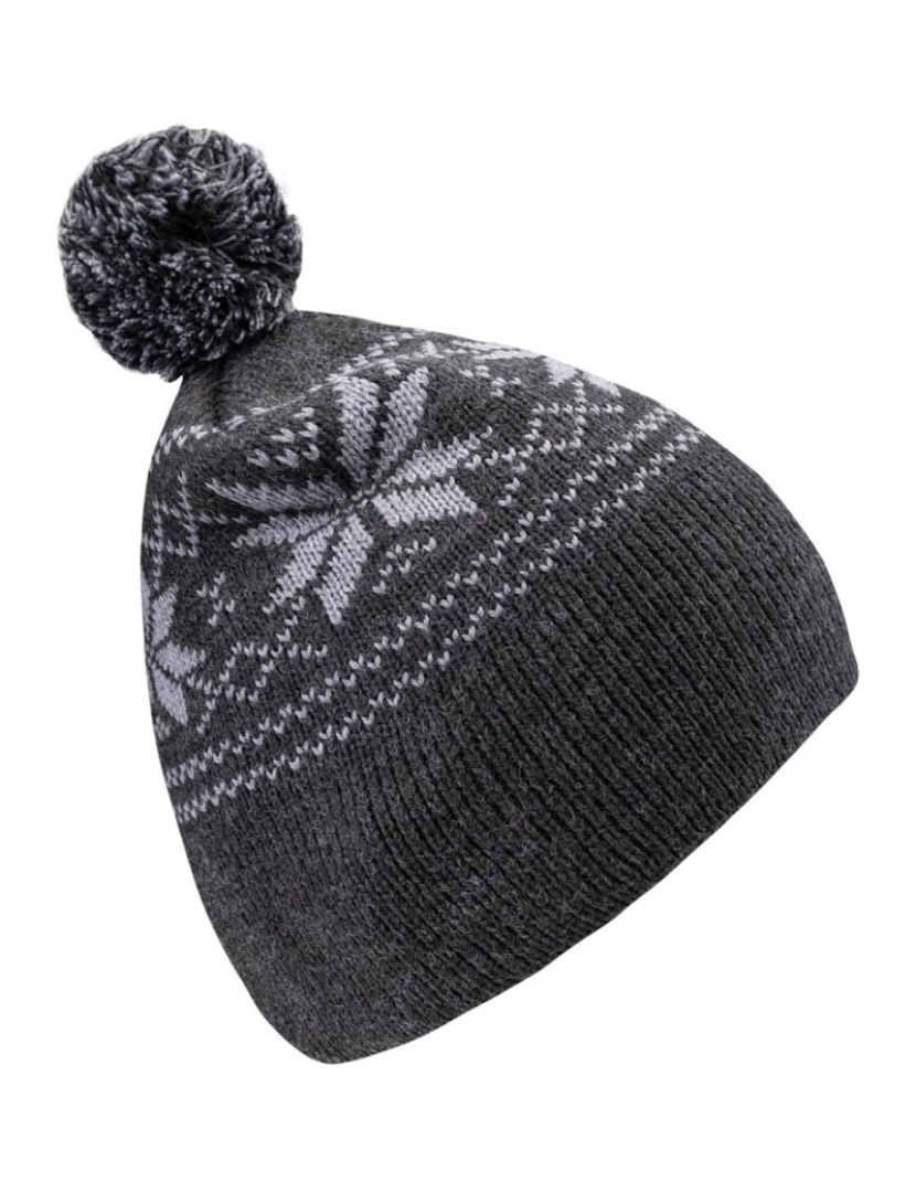 imagem de Oi-Tec Unisex Adult Pascal Beanie2