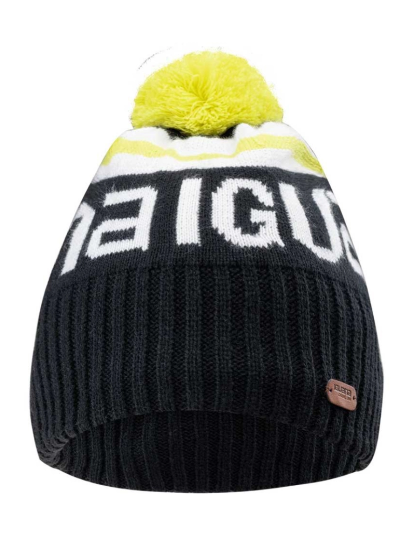 imagem de Iguana Mens Aver Beanie1