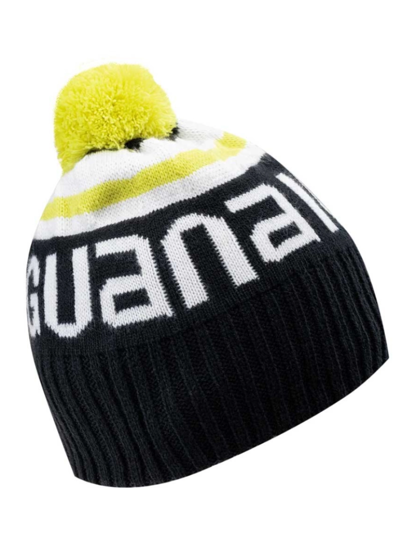 imagem de Iguana Mens Aver Beanie2