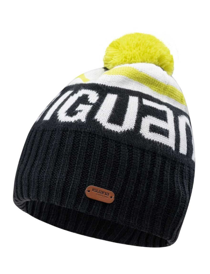 imagem de Iguana Mens Aver Beanie3