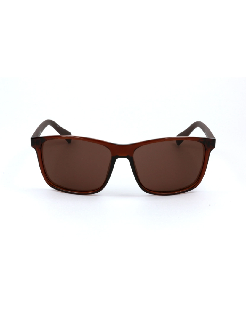 imagem de Calvin Klein Coleção Mens Óculos de sol Ck19568S 210 58 15 140 Cristal Brown4