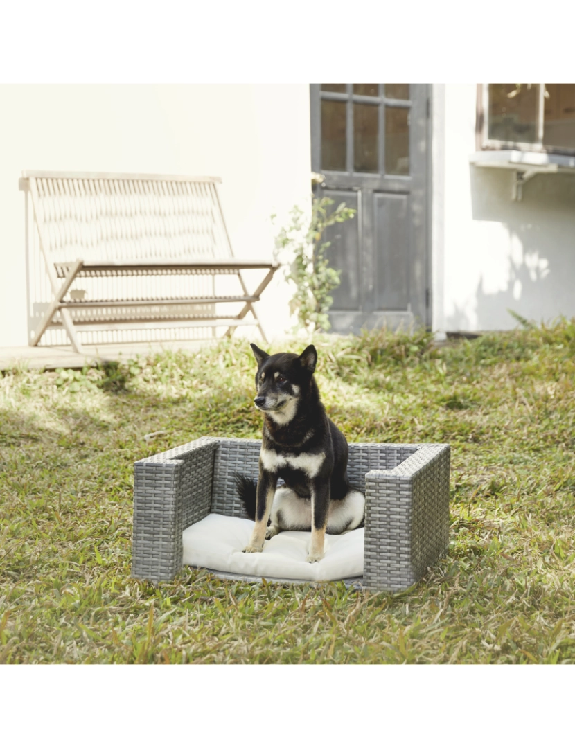 imagem de Teamson Pets Pano ao ar livre gato ou pequena cama de vime do cão, cinza/curma2