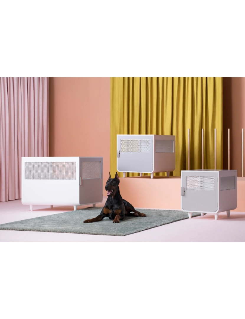 imagem de Grande cão Crate Puppy cama gaiola de madeira Kennel interno alpino branco St-H1000243