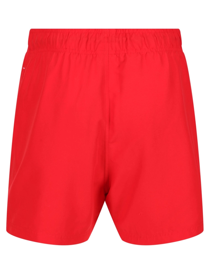 imagem de Regatta Mens Mawson Ii Swim Shorts2