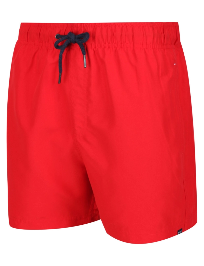 imagem de Regatta Mens Mawson Ii Swim Shorts3