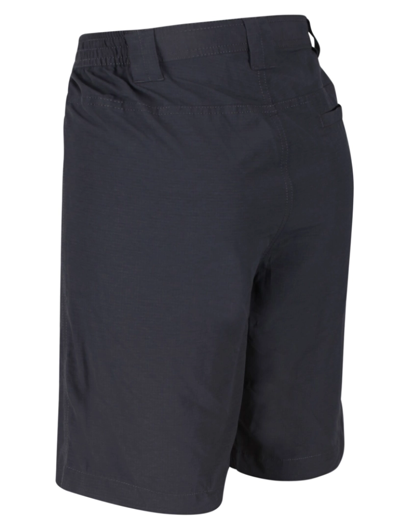 imagem de Regatta Mens Delgado Shorts2