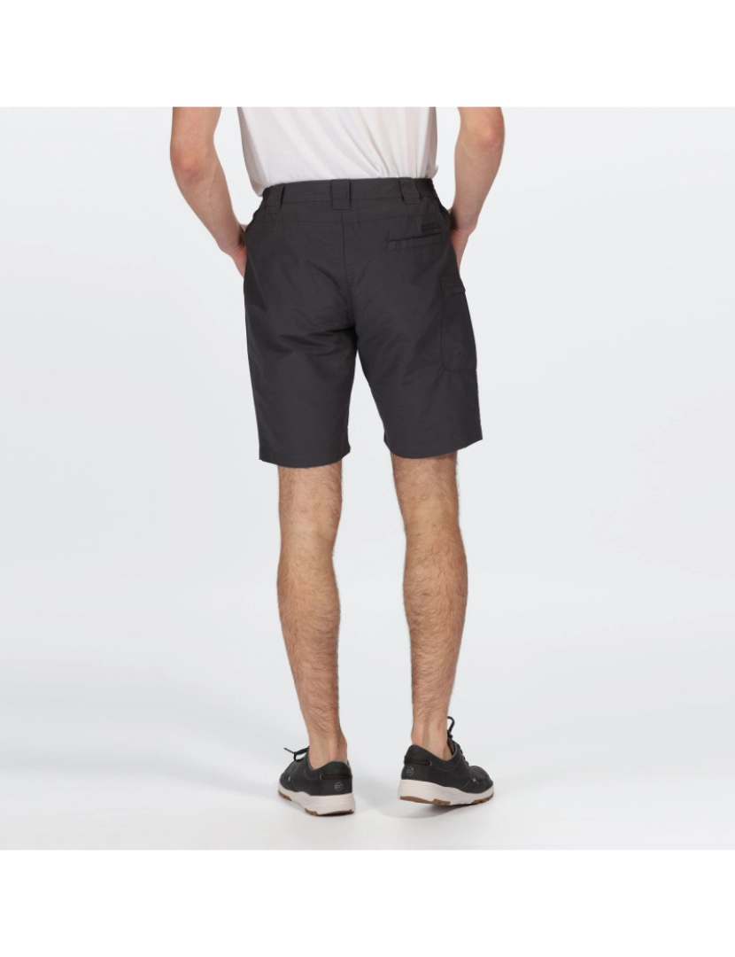 imagem de Regatta Mens Delgado Shorts3