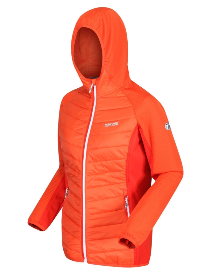 imagem de Regatta Womens/Ladies Andreson Vi casaco isolado3