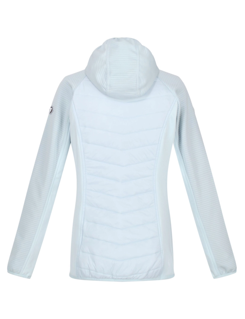 imagem de Regatta Womens/Ladies Andreson Vi casaco isolado2