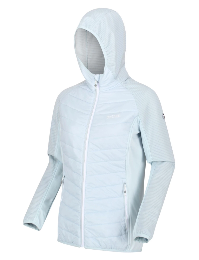 imagem de Regatta Womens/Ladies Andreson Vi casaco isolado3