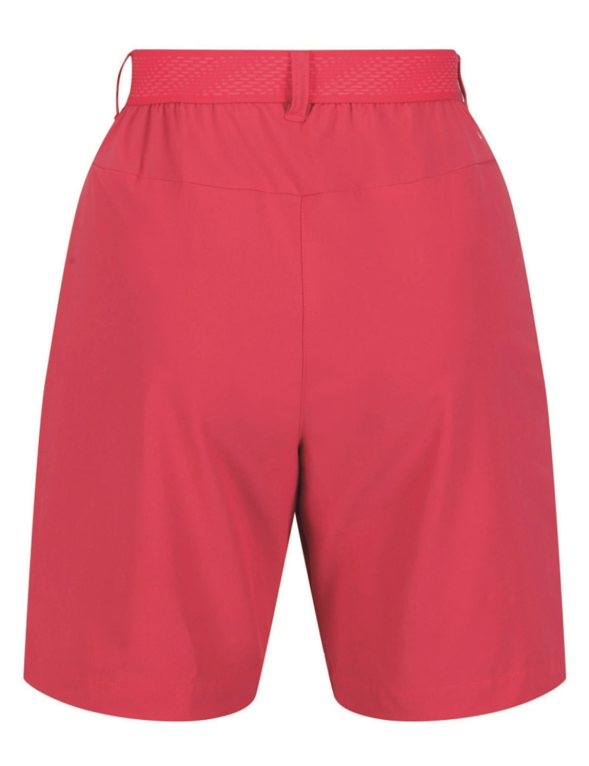 imagem de Regatta Womens/Ladies Mountain Ii Shorts2