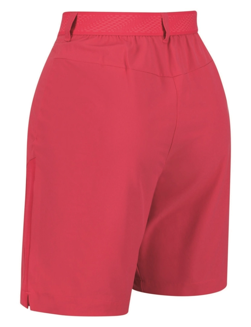 imagem de Regatta Womens/Ladies Mountain Ii Shorts3