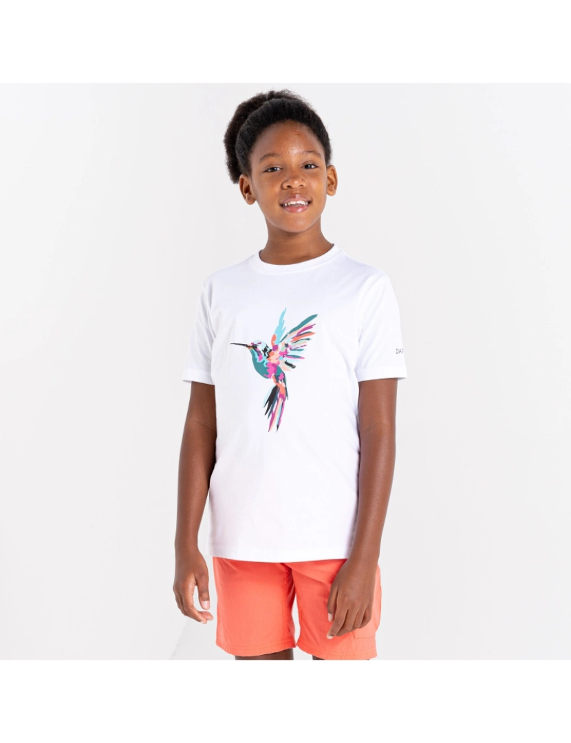 imagem de Dare 2B Crianças/Kids Trailblazer Pássaro T-shirt4