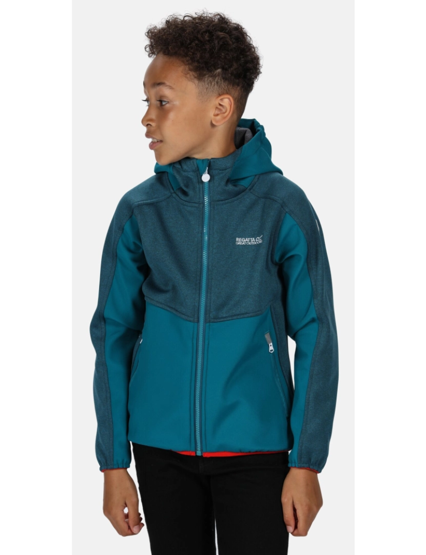 imagem de Regatta Crianças / Crianças Bracknell Ii Softshell Jacket3