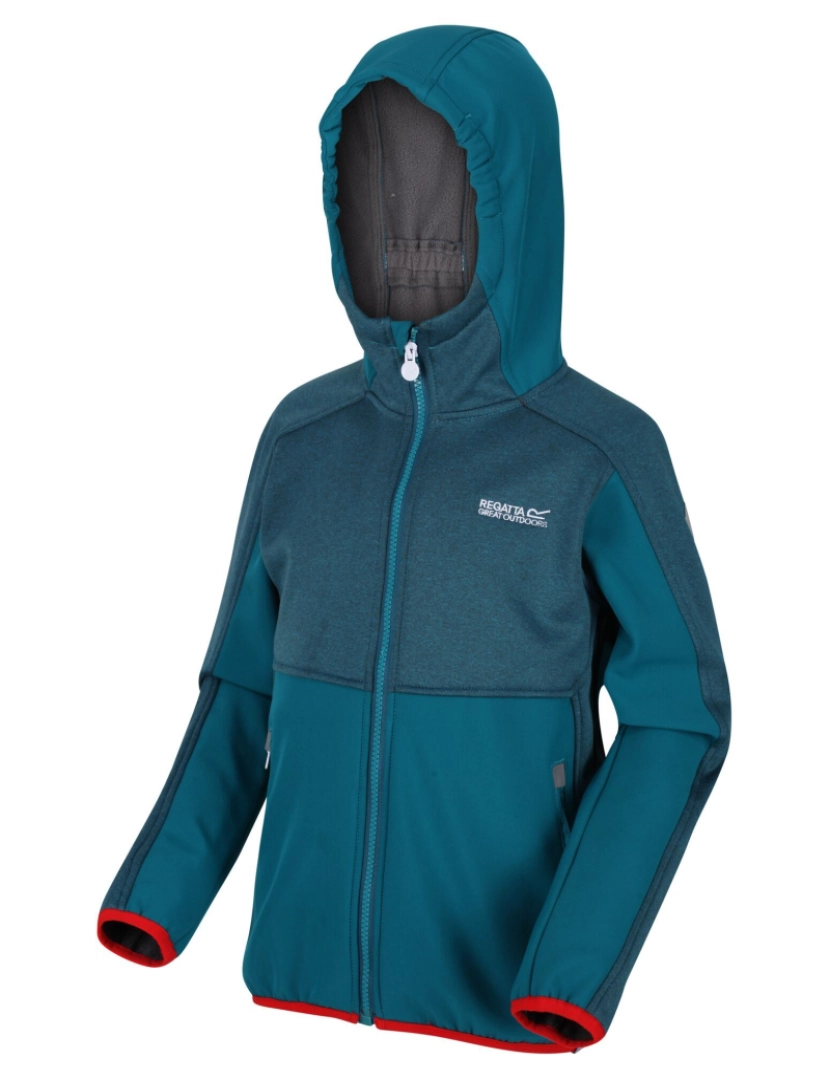 imagem de Regatta Crianças / Crianças Bracknell Ii Softshell Jacket4