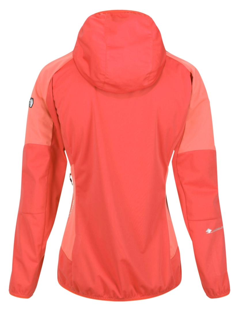 imagem de Regatta Womens/Ladies Tarvos Iv Softshell Jacket2