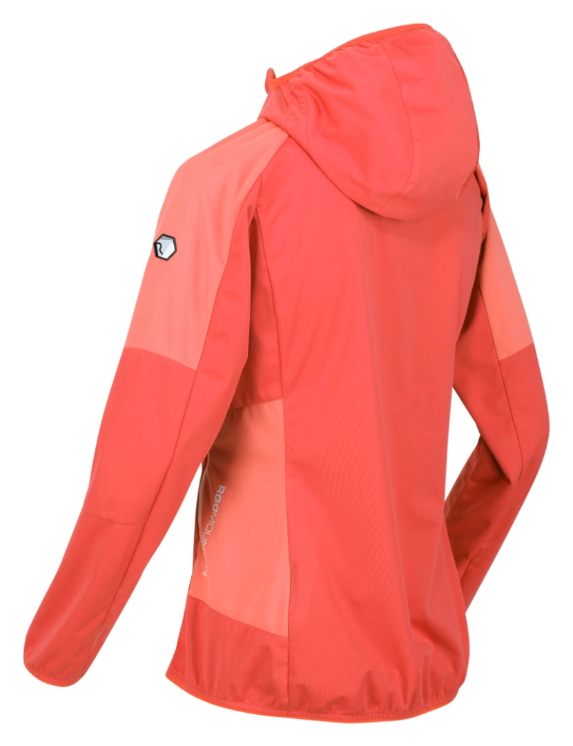 imagem de Regatta Womens/Ladies Tarvos Iv Softshell Jacket3