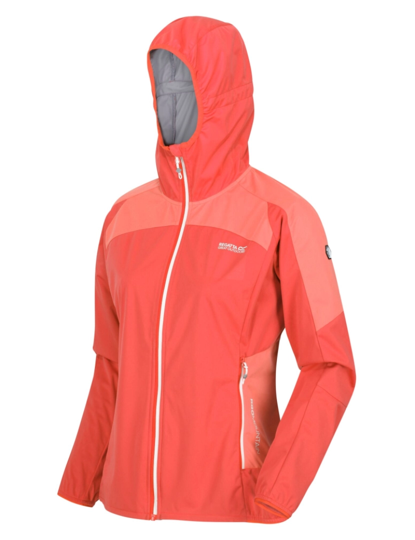 imagem de Regatta Womens/Ladies Tarvos Iv Softshell Jacket4