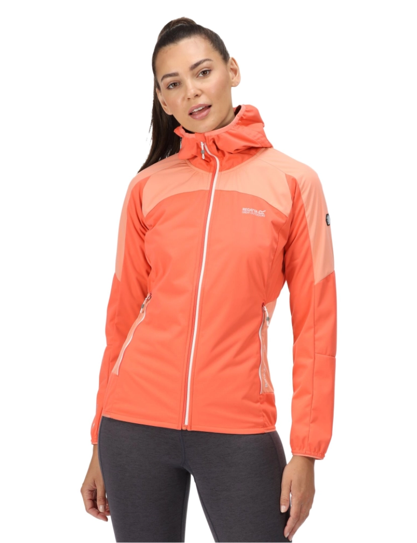 imagem de Regatta Womens/Ladies Tarvos Iv Softshell Jacket6