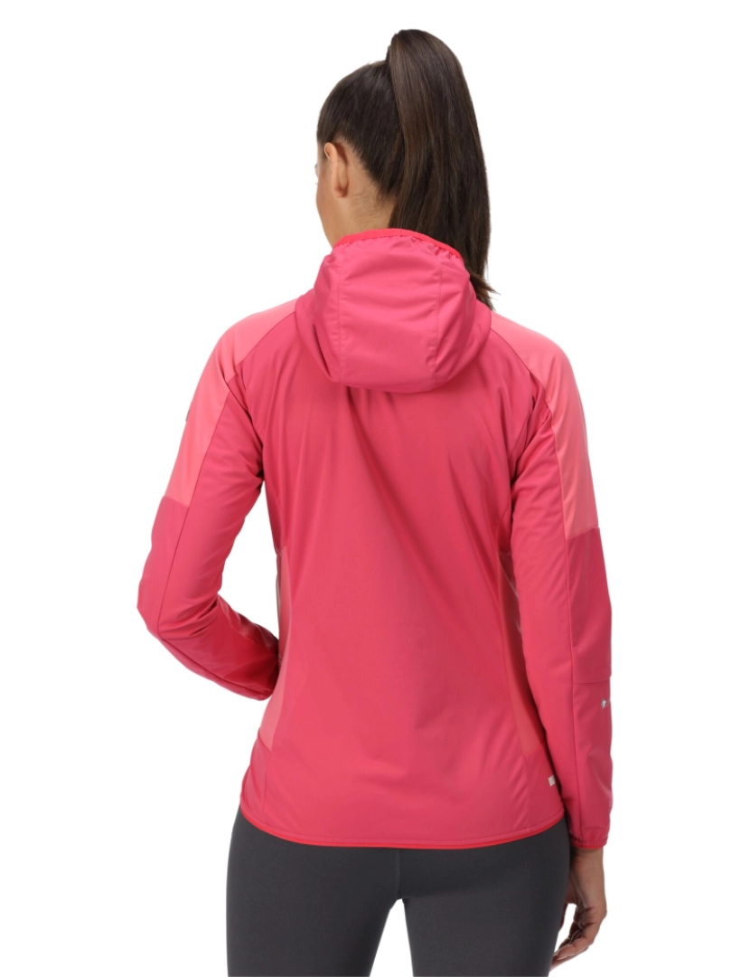 imagem de Regatta Womens/Ladies Tarvos Iv Softshell Jacket3