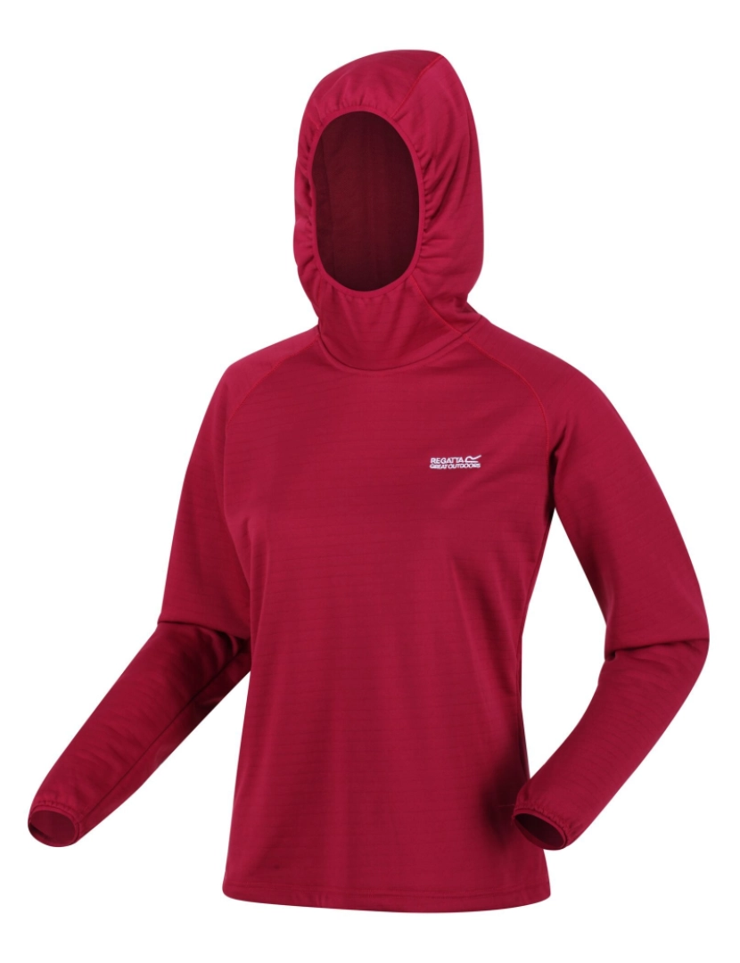 imagem de Regatta Womens/Ladies Hartel Softshell Hoodie3