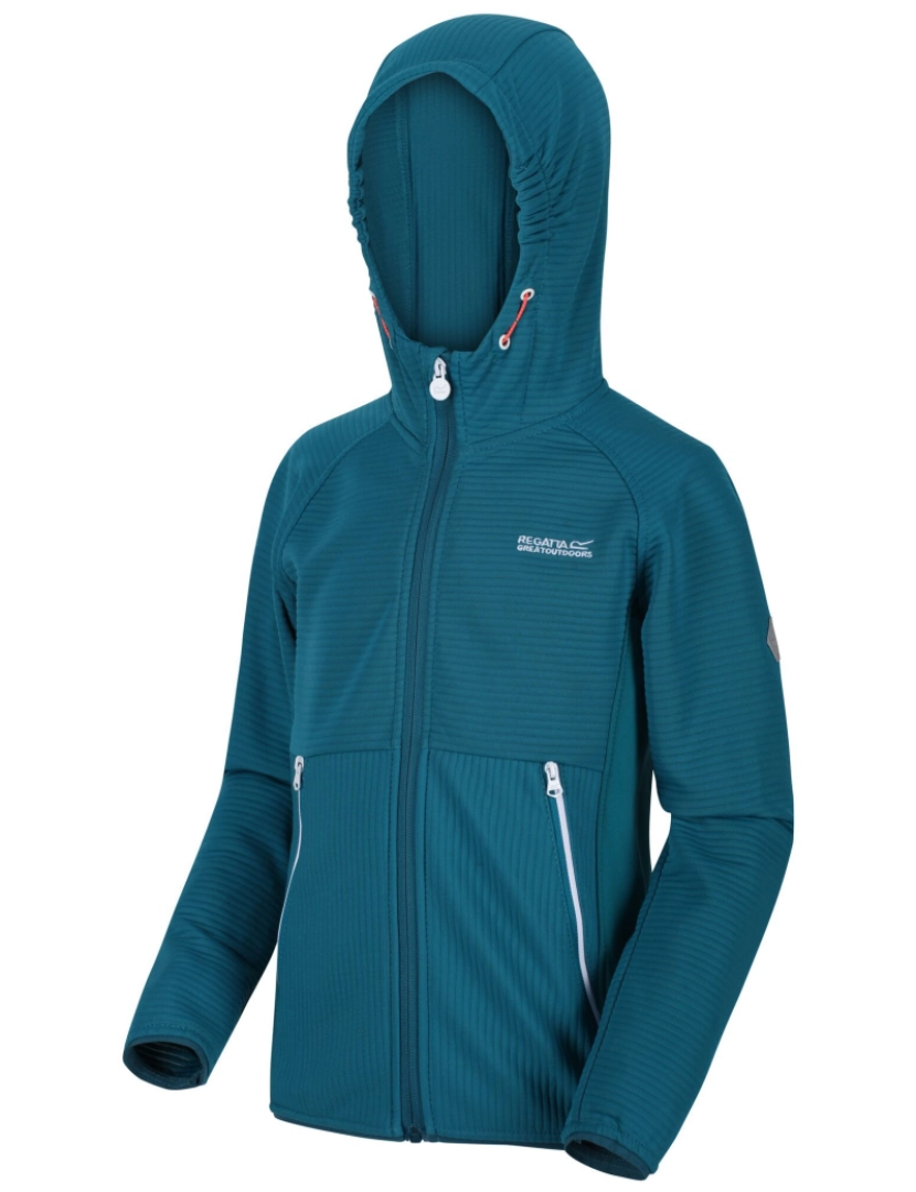 imagem de Regatta Crianças/Kids Jenning Full Zip Fleece3