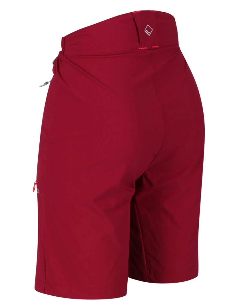 imagem de Regatta Womens/Ladies Shorts de montanha2