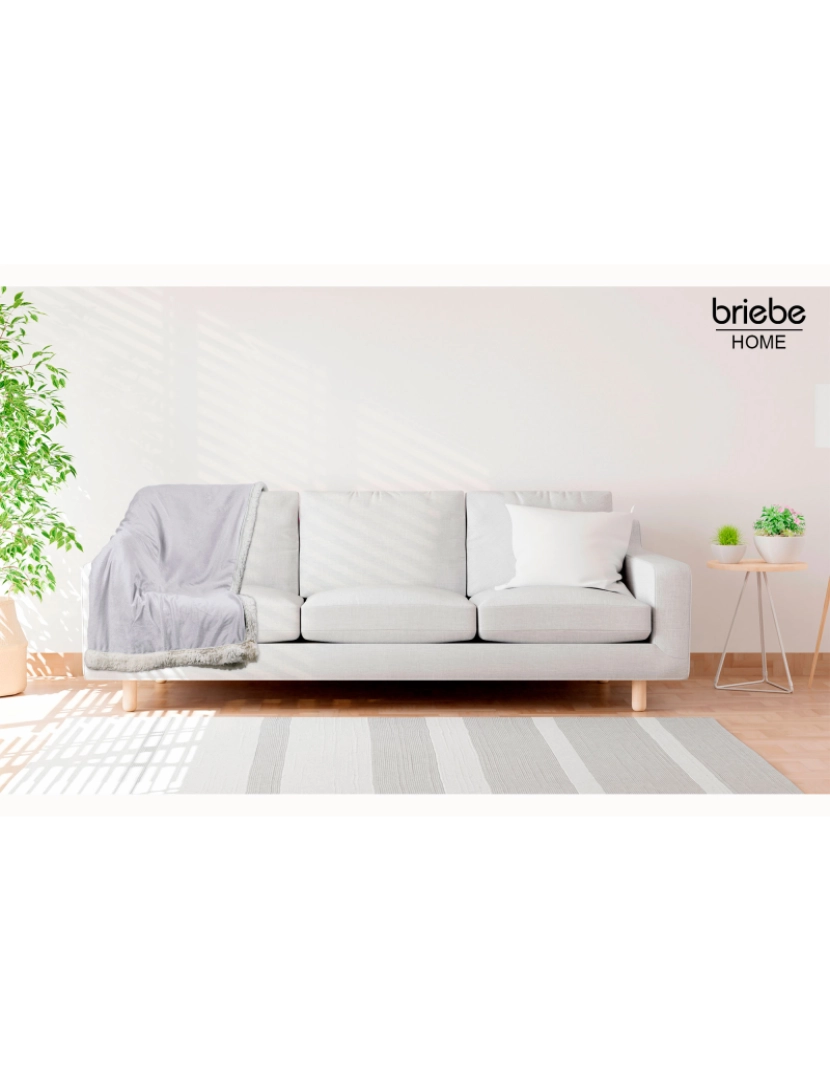 imagem de Manta de Sofa, Cobertor de Sedalina com Tela de Sherpa 130 x 160cm Quente, Grossa e Extra Macia Briebe -, Cinzento Claro2