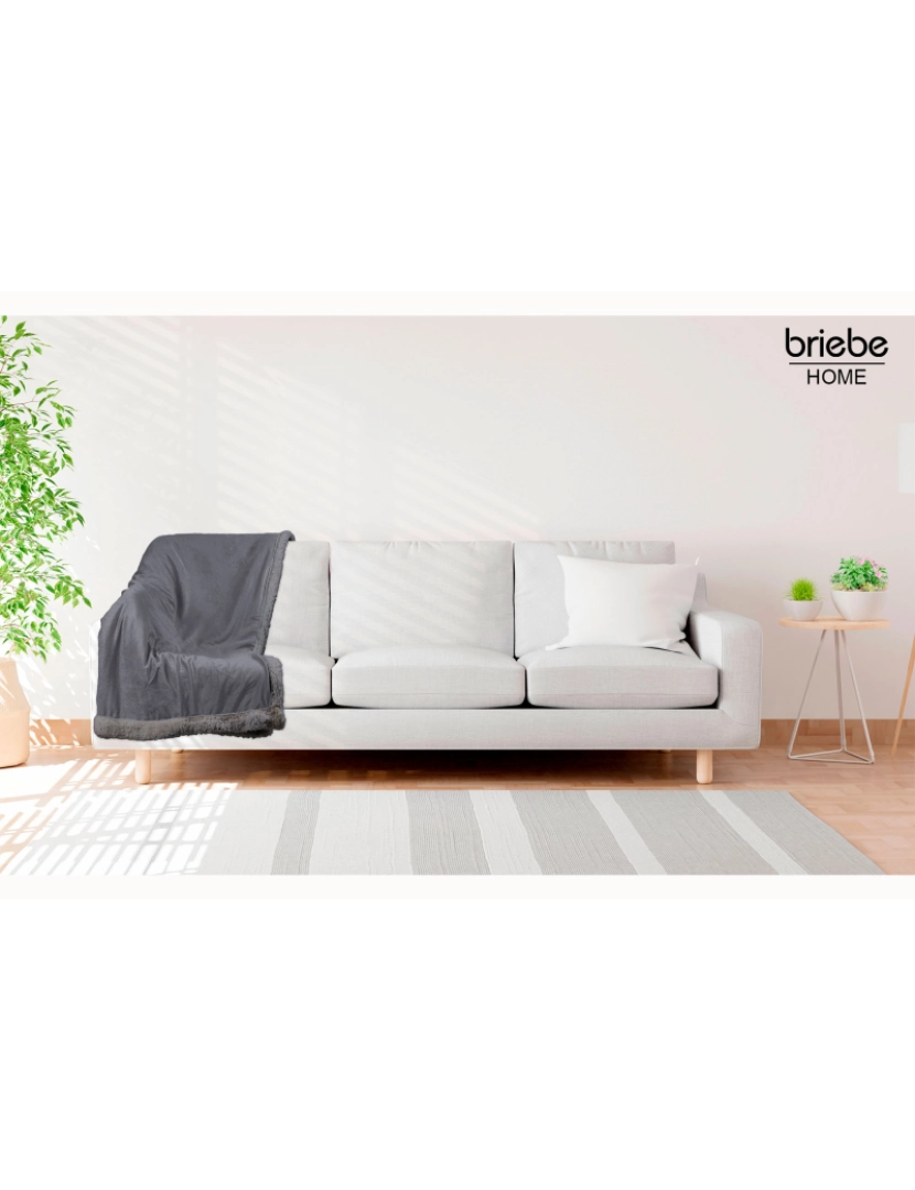 imagem de Manta de Sofa, Cobertor de Sedalina com Tela de Sherpa 220 x 240cm Quente, Grossa e Extra Macia Briebe -, Cinzento Escuro2