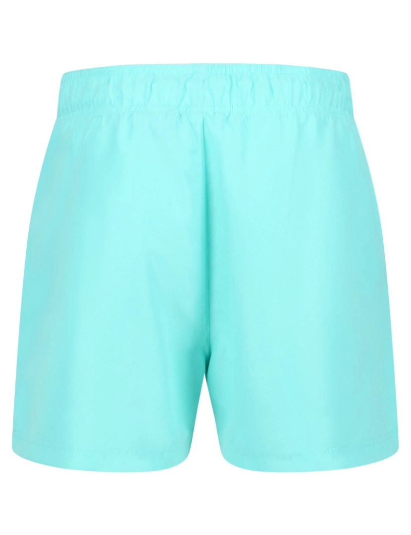 imagem de Regatta Mens Mawson Ii Swim Shorts3