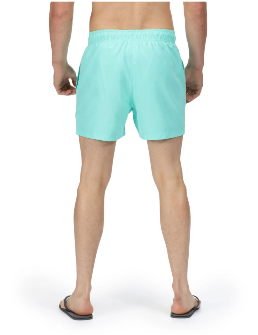 imagem de Regatta Mens Mawson Ii Swim Shorts6