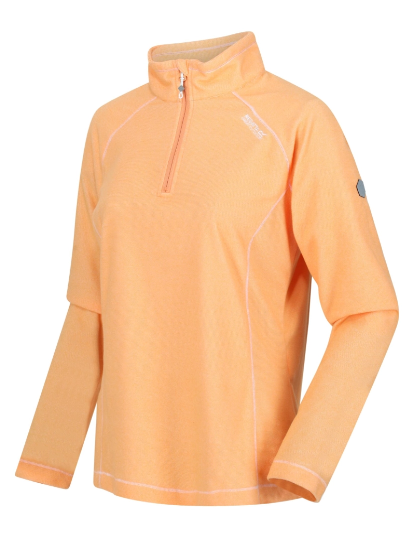 imagem de Regatta Great Outdoors Womens/Ladies Montes Half Zip Fleece Top3