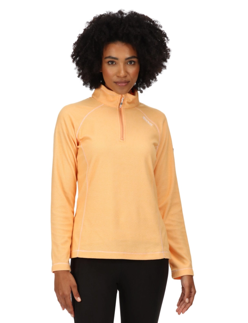 imagem de Regatta Great Outdoors Womens/Ladies Montes Half Zip Fleece Top4