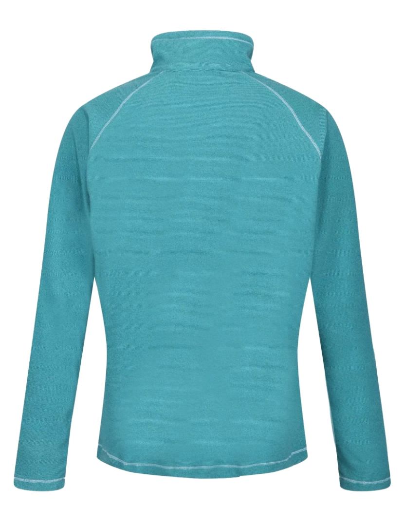 imagem de Regatta Great Outdoors Womens/Ladies Montes Half Zip Fleece Top2