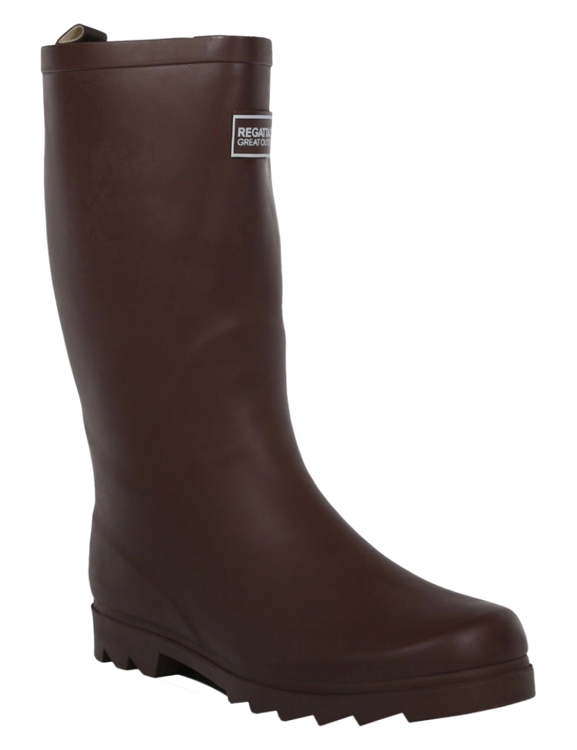 imagem de Regatta Womens/Ladies Fairweather Wellington Botas1