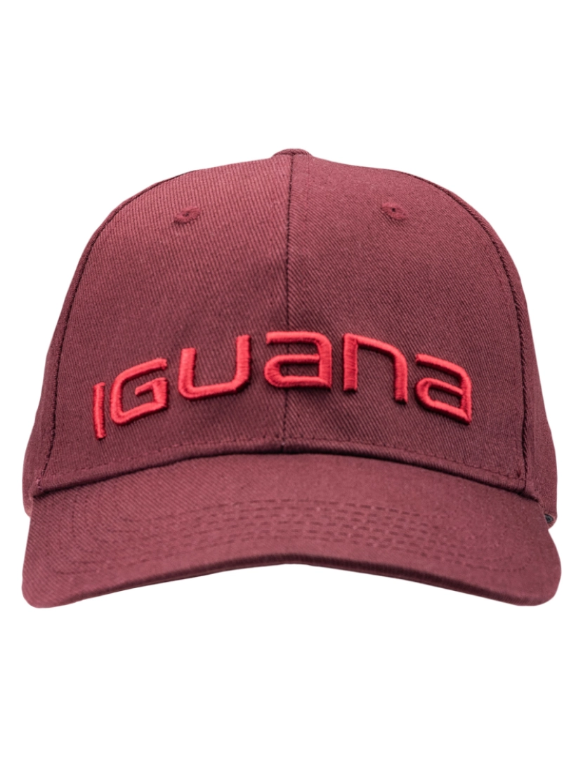 imagem de Iguana Unisex Adult Erde Logo Baseball Cap - Talla Única1