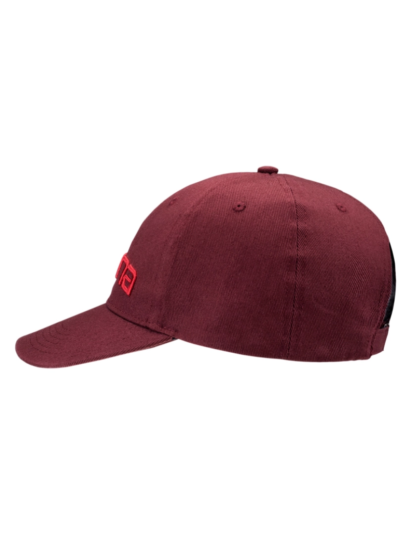 imagem de Iguana Unisex Adult Erde Logo Baseball Cap - Talla Única2