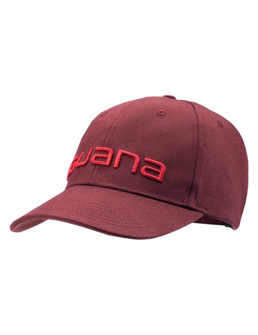 imagem de Iguana Unisex Adult Erde Logo Baseball Cap - Talla Única3