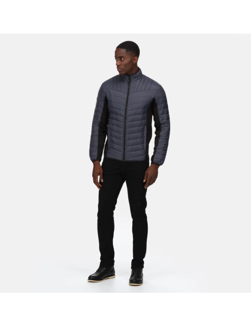 imagem de Regatta Mens Tourer Hybrid Jacket4