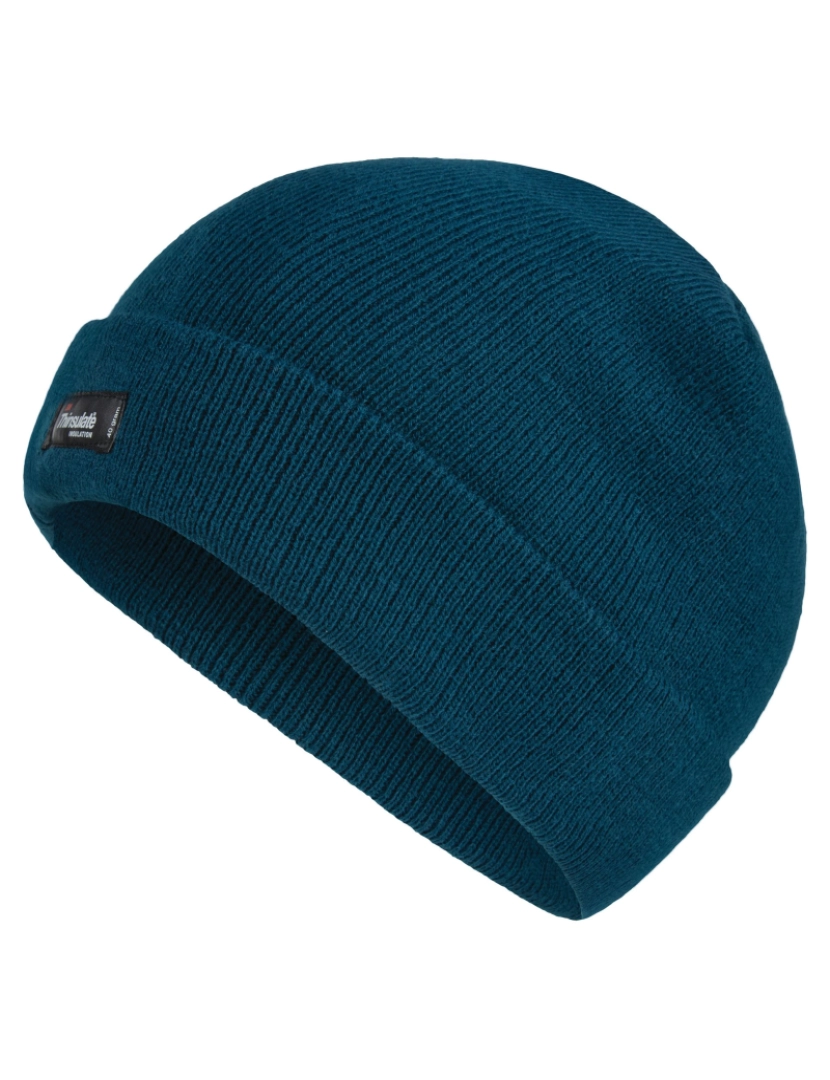 imagem de Regatta Mens Thinsulate térmica chapéu de inverno1