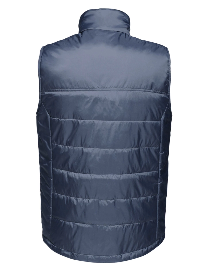 imagem de Regatta Mens Stage Ii isolado Bodywarmer2