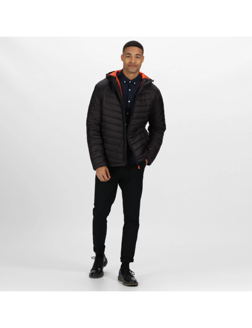 imagem de Regatta Mens Thermogen Powercell 5000 Quilted casaco isolado4