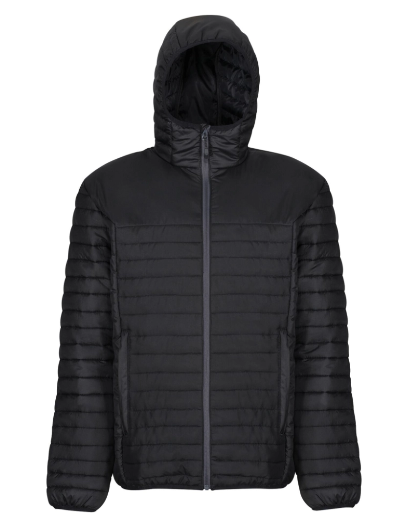 Regatta - Regatta Mens Honestamente feito casaco acolchoado