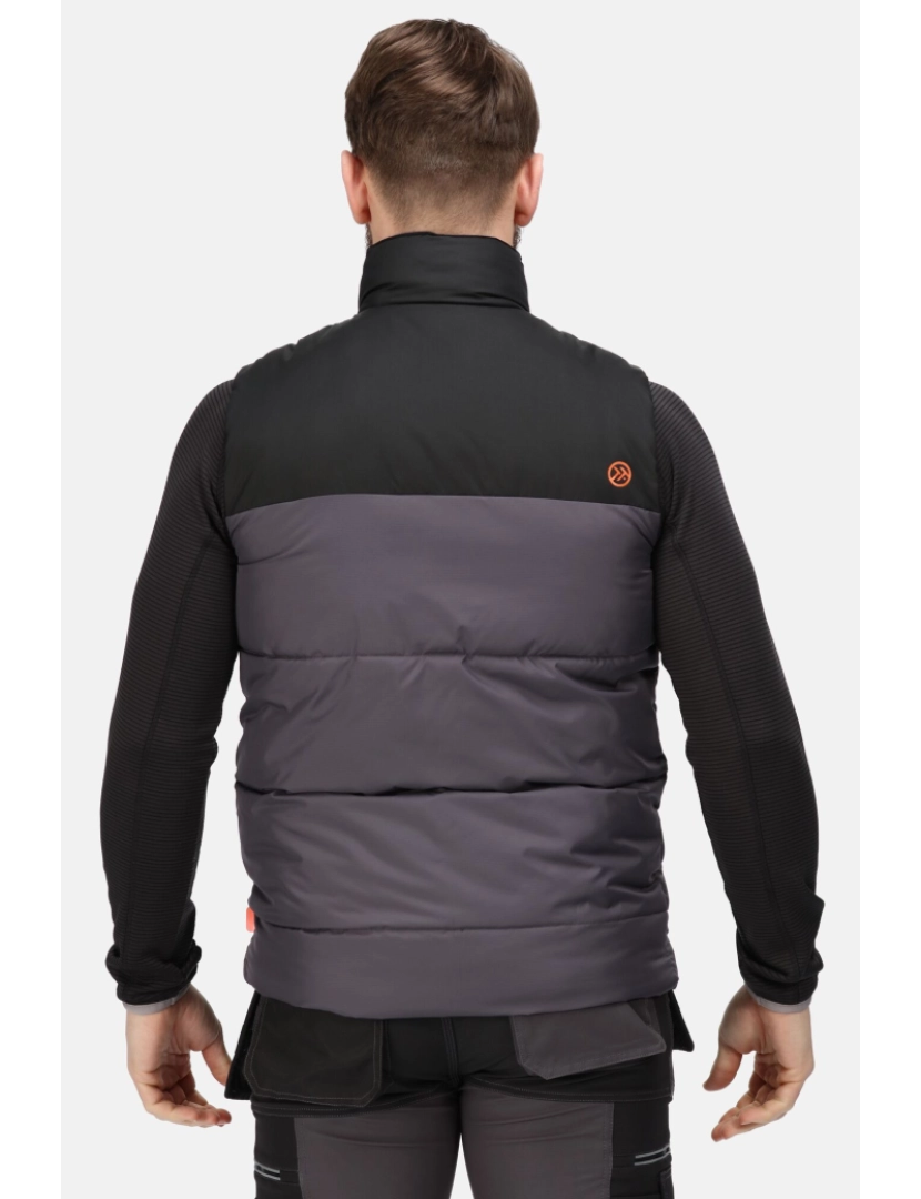 imagem de Regatta Mens Regime isolado Body Warmer5