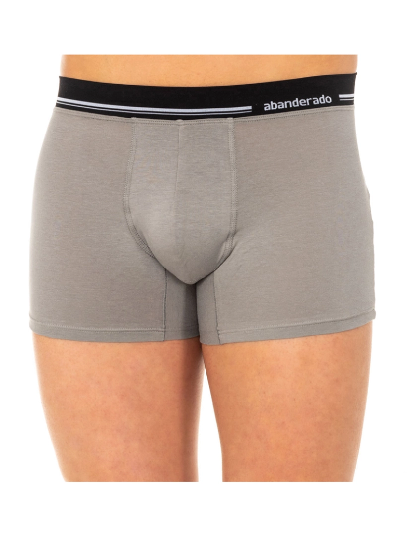 Abanderado - Boxer Homem Cinza