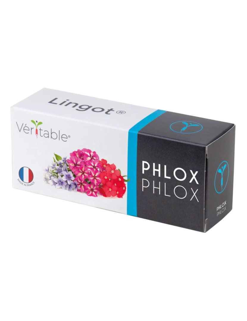 imagem de Phlox Lingots® - Flores Comestíveis1
